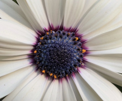 One