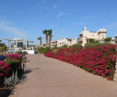 Egypt  -  Sharm Alsheikh