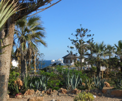 Egypt  - Alexandria - Almontazah 