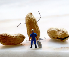 Miniciks Hayatlar  FIT NUT 