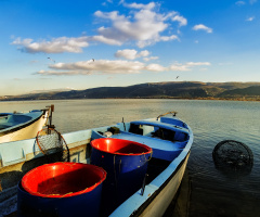 Gölyazı