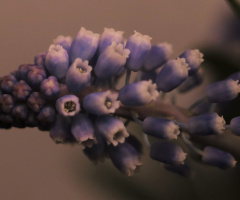 One