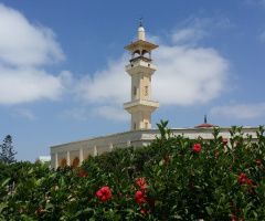 Egypt  - North coast  