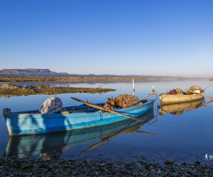 Yumurtalık Lagünü