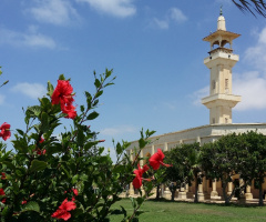 Egypt  - North coast  