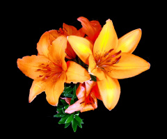 BLÜTEN
