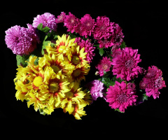BLÜTEN