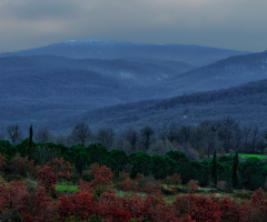 Sünlük Köyü  Ormanı