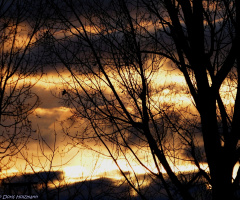 Dämmerung