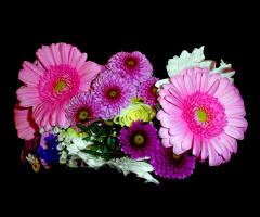 BLÜTEN