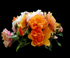 BLÜTEN