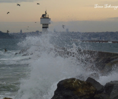 fırtına deniz feneri