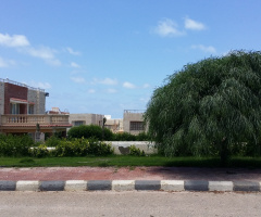 Egypt  - North coast  