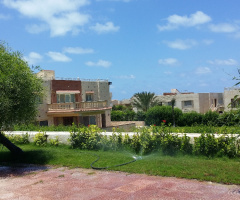 Egypt  - North coast  