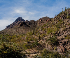 Full Frame Arizona