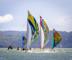 Regatta