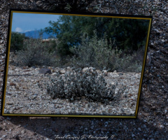 Mirror Mirror.................................