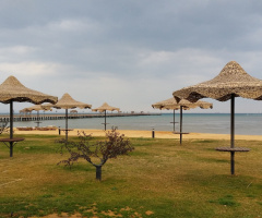 Egypt  - Alzaafarana