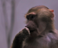Wondering....