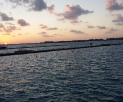 Egypt  - North coast   - Porto marina 