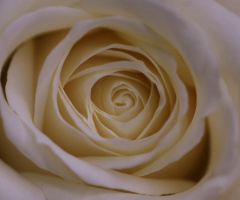 White...