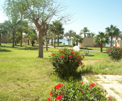 Egypt  - Ismaillia