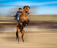 The cowboy