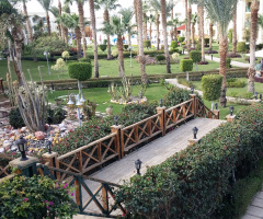 Egypt - Hurghada 
