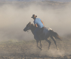 Lonely cowboy