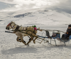 CILDIR/KARS