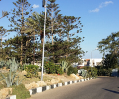 Egypt  - Alexandria - Almontazah 