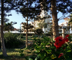 Egypt  - Alexandria - Almontazah 