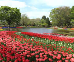 Flower park