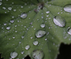 Rain moments ...