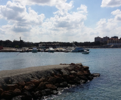 Egypt  - Alexandria - Almontazah 