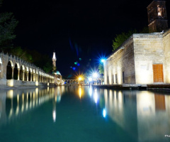 Miniciks Hayatlar  ŞANLIURFA 