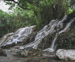 Doğa. 2
