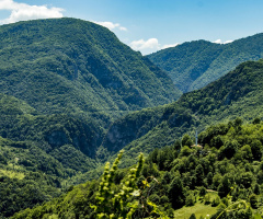 Dağlar