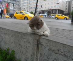 ''İşleri kolayladın mı komşu :) ''