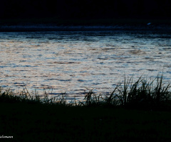 Sonnenuntergang am Rhein