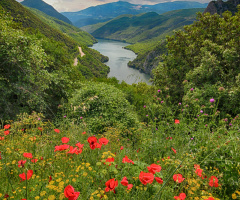 Over the river