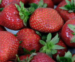 ERDBEEREN