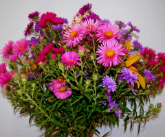 BLUMENSTRAUSS
