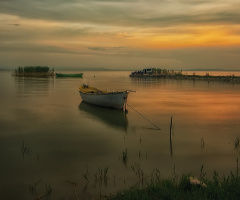 Bandırma Kuş Cenneti