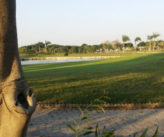 Egypt  - Giza - Dream land 