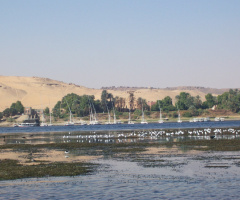 Egypt  - Nile River - Aswan 