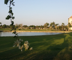 Egypt  - Giza - Dream land 