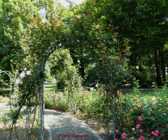 Rosengarten