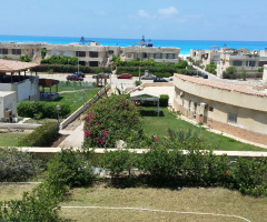 Egypt - North coast 