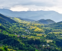 Şavşat